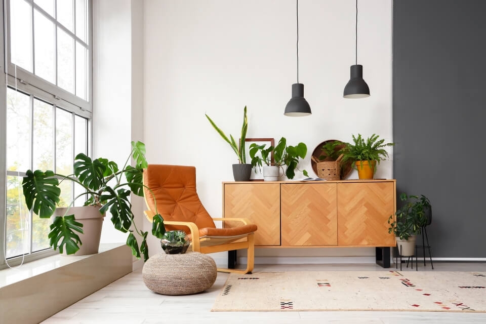 Create an Indoor Tropical Paradise 3